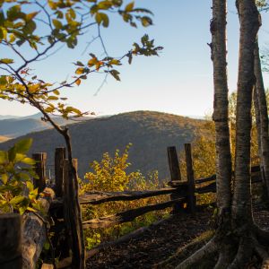 North Carolina Hiking Trails - Places to Hike | VisitNC.com